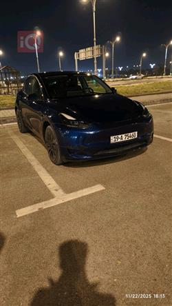 تێسلا مۆدێلی Y